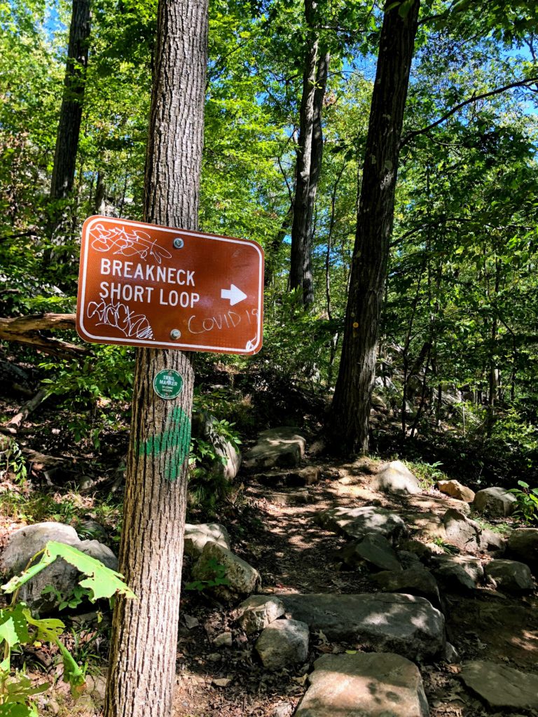 紐約爬山 Breakneck Ridge - 經驗分享 14